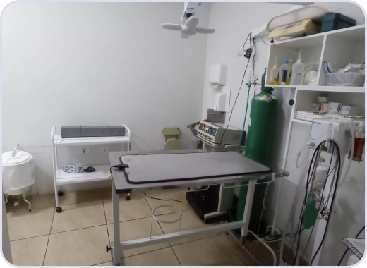 Centro Cirúrgico - Espaço Vet Clínica Veterinária 24h em Londrina/PR